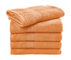 Rhine Hand Towel COMFORT