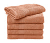 Rhine Beach Towel COMFORT