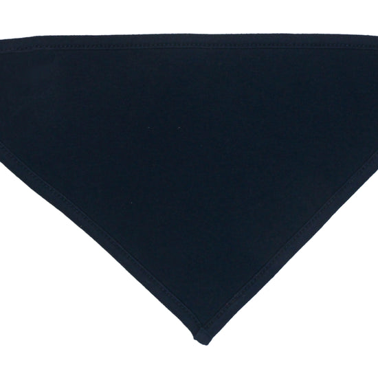 Babybugz Bandana Bib