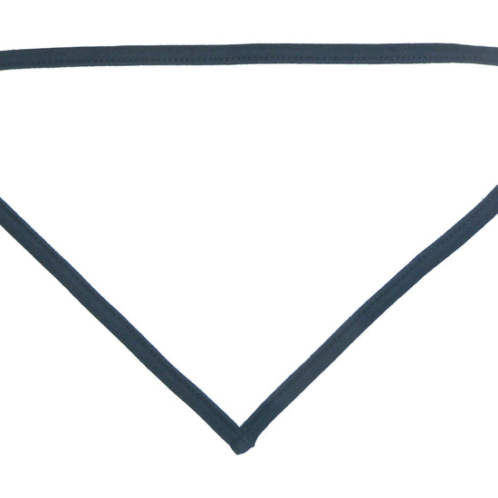 Babybugz Bandana Bib