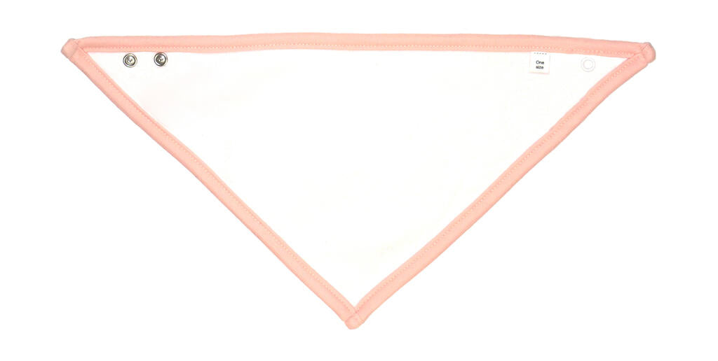 Bandana Bib
