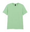 Softstyle Adult T-Shirt