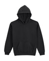 Softstyle Midweight Fleece Youth Hoodie