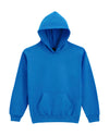 Softstyle Midweight Fleece Youth Hoodie