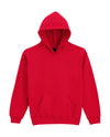 Softstyle Midweight Fleece Youth Hoodie