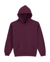 Softstyle Midweight Fleece Youth Hoodie
