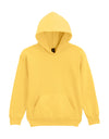Softstyle Midweight Fleece Youth Hoodie
