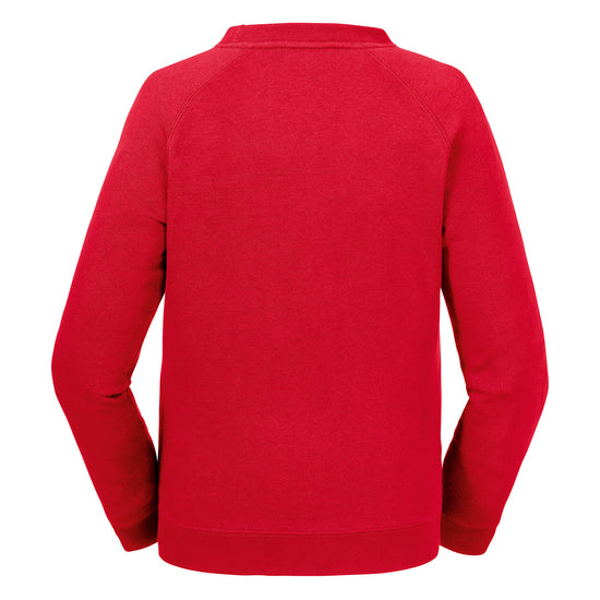 Kids` Authentic Raglan Sweat