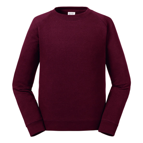 Kids` Authentic Raglan Sweat
