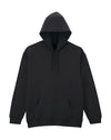 Softstyle Midweight Fleece Adult Hoodie