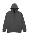Softstyle Midweight Fleece Adult Hoodie