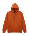 Softstyle Midweight Fleece Adult Hoodie