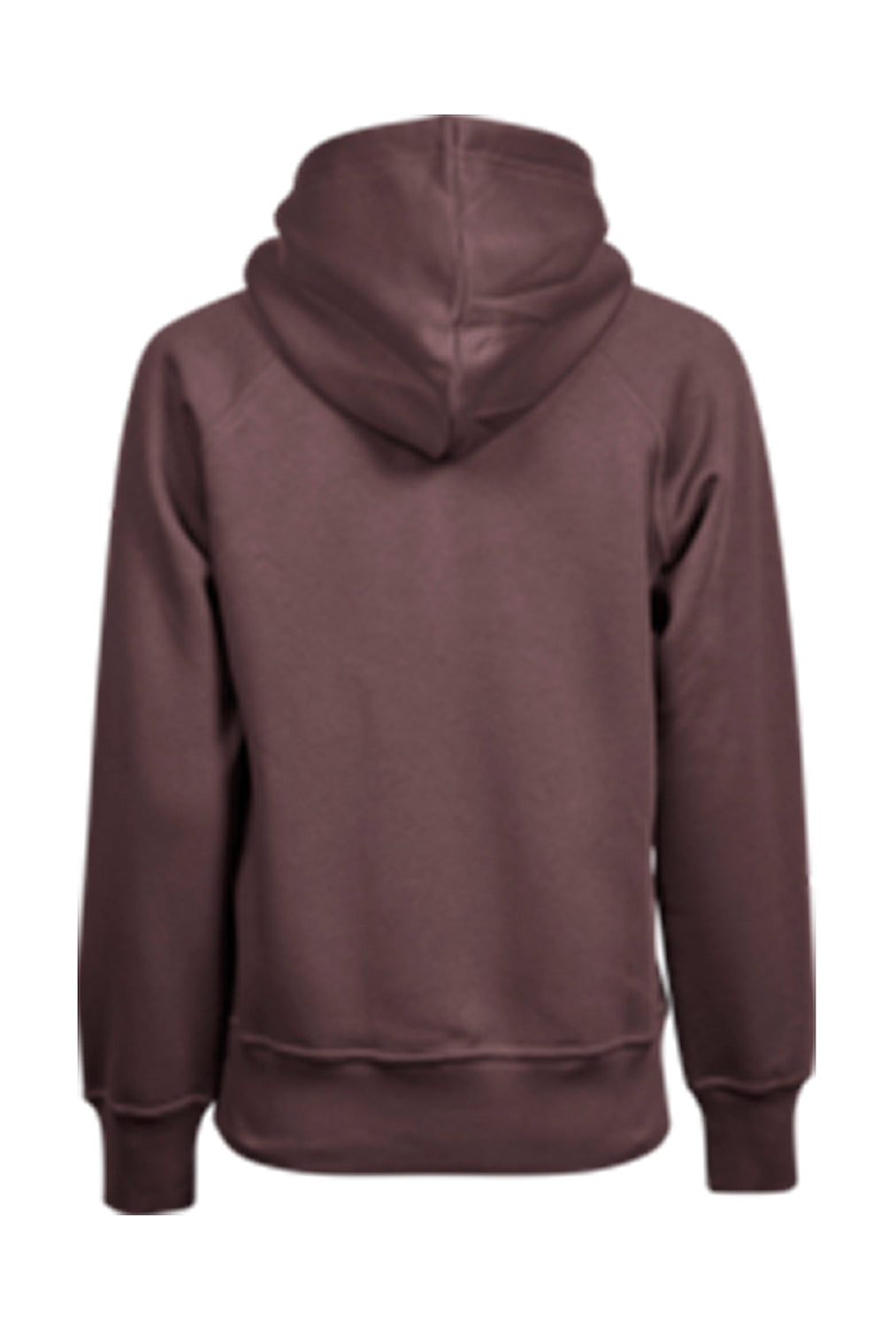 Ladies` Hooded Sweat