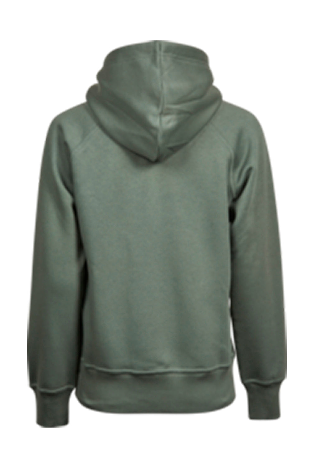 Ladies` Hooded Sweat