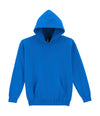 Heavy Blend Youth Hooded Sweat