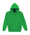 Heavy Blend Youth Hooded Sweat