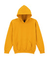 Heavy Blend Youth Hooded Sweat