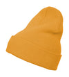 Heavyweight Long Beanie
