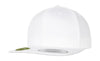 Organic Cotton Snapback