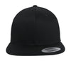 Organic Cotton Snapback