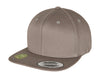 Organic Cotton Snapback