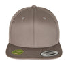 Organic Cotton Snapback