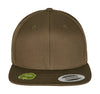 Organic Cotton Snapback