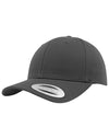 Curved Classic Snapback
