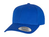 Curved Classic Snapback