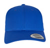Curved Classic Snapback