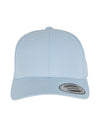 Curved Classic Snapback