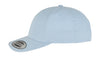 Curved Classic Snapback