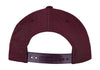 Curved Classic Snapback
