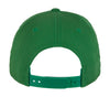 Curved Classic Snapback