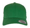 Curved Classic Snapback