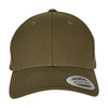Curved Classic Snapback