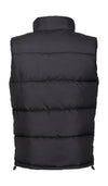 Regatta Professional Northdale Insulated Bodywarmer