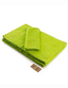 Fashion Hand Towel AR034 Lime Green