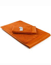 Beach Towel Excellent Deluxe AR605 Cinnamon