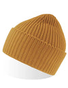 Atlantis Headwear Oak Beanie