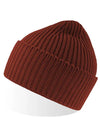 Atlantis Headwear Oak Beanie