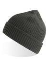 Atlantis Headwear Maple Beanie