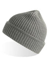 Atlantis Headwear Maple Beanie