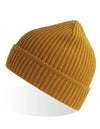 Atlantis Headwear Maple Beanie