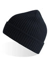 Atlantis Headwear Maple Beanie