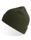 Atlantis Headwear Maple Beanie