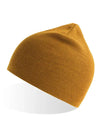 Atlantis Headwear Holly Beanie