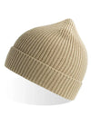 Atlantis Headwear Andy Beanie