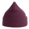 Atlantis Headwear Nelson Beanie