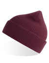 Atlantis Headwear Nelson Beanie